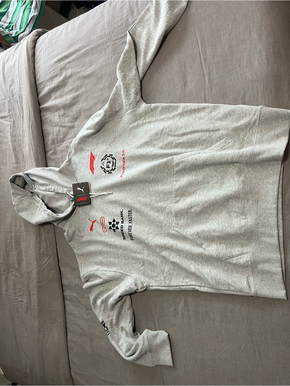 Mens Puma F1 Racing Hoodie (632244 01) Size small